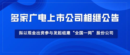 怎么提高自己在公司的股份？是不是由自己单独出资多建几个商场就可以抬高自己的股份了？