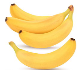 香蕉属于草本植物还是木本植物 