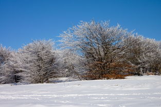 雪舞寒冬，诗意如画，描写雪冬天的词语有哪些