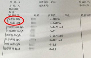 辟谣 怀孕不能养猫 十恶不赦的弓形虫根本没那么容易感染