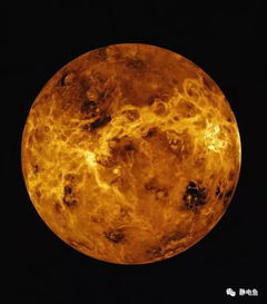 金星和福点四分相,星盘看惊艳美貌，实例分析？