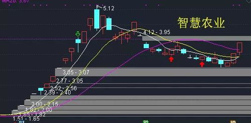 公司出售股票所得的钱由谁控制