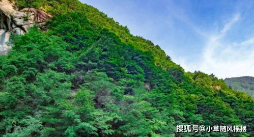 河南免费自然景区,嫌弃原本的名字土,改名后效果让人无语