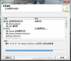 win10怎么装sql2005