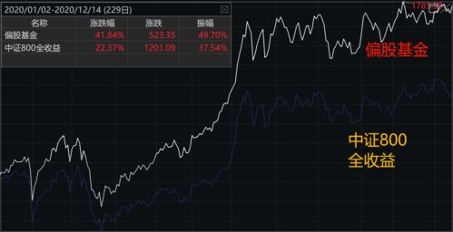 我是一个外行人，现在完全不懂股票和基金，我应该投资股票还是基金？