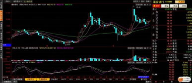 分析一下“浦发银行”这只股票。