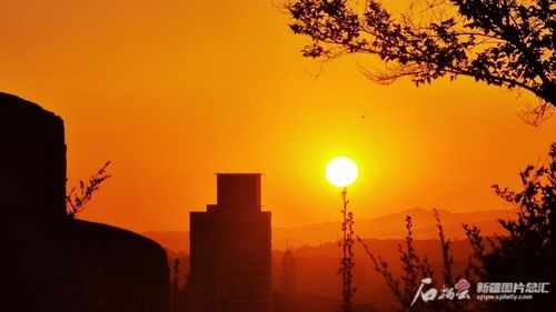 今日新疆迎本轮高温天气最热一天 明日高温有所缓解