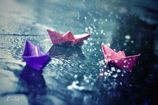笑对人生的风雨,静对人生的起落 