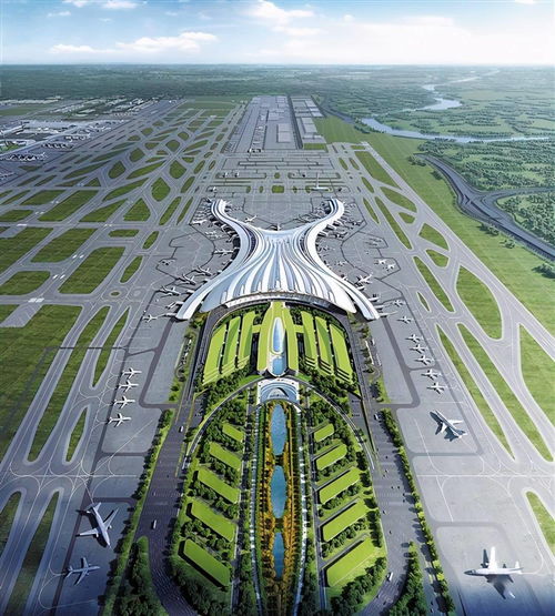 为什么白云机场与深圳机场走势趋势差别那么大？
