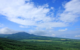 日本北海道田园风景 米粒分享网 Mi6fx Com