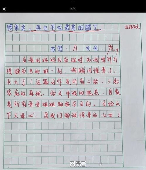 学生优秀作文 我的梦想 , 立意与众不同, 网友, 懂事得让人心疼