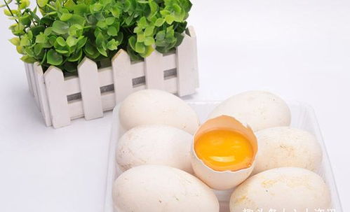 鹅蛋的营养价值及功效与作用,吃鹅蛋的好处