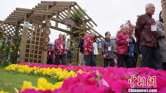 扬州邀100位老师吃百寿宴 最年轻者80岁 组图