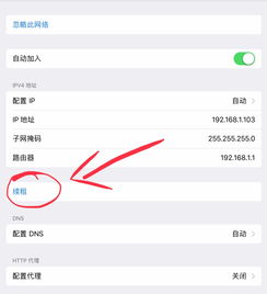 iOS无线局域网的续租是什么意思 