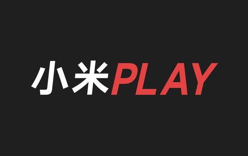 不是小米9也不是红米 小米新机或是全新系列命名为小米Play