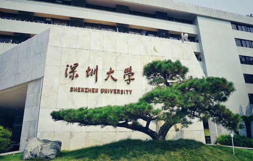 深圳大学数字媒体艺术自考,深圳大学自考本科有哪些专业