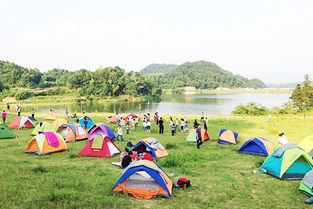 荷塘镇免费停车场,东莞露营有哪些地点露营地点推荐