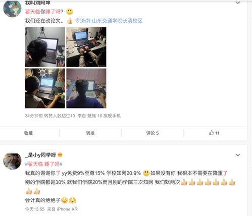 知网镜像版查重什么意思 