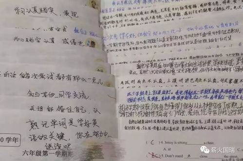 关于赞美学校的句子50字