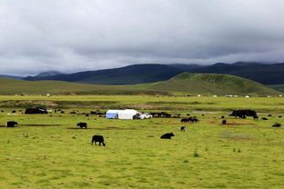 我想去西藏,选择在7,8月份雨季拼车走川藏线怎么样 价格是多少