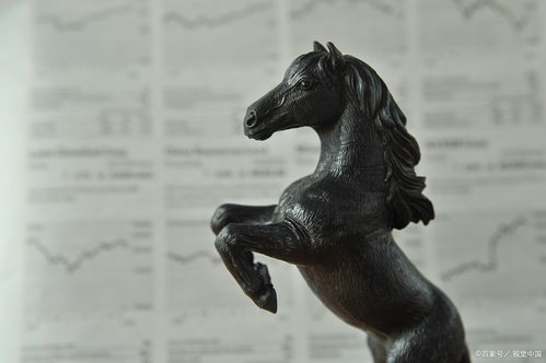 股票中什么是白马和黑马