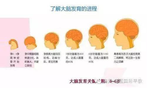 芽米6 2早教 惊喜来袭,你准备好了么