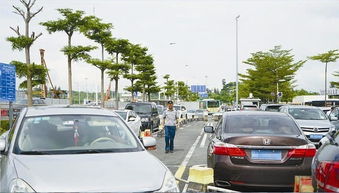 深圳湾公园怎么查已经预约的停车位(深圳湾公园二号停车场预约免费)