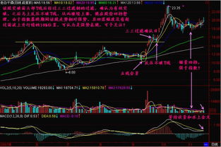 股票在哪种情况下才会停牌，停牌的对股票的钟种约束，以及这股票还在运转吗？