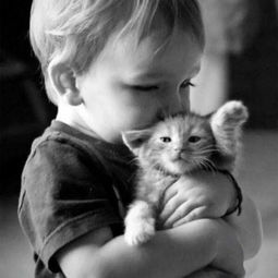 求一个外国小女孩抱着一狗,一个小男孩抱着一只猫的图可以作情侣头像的图片 