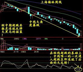 超跌反弹经典k线 什么是k线级别的反弹