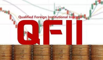 请问下QFII 与QDII怎么念啊