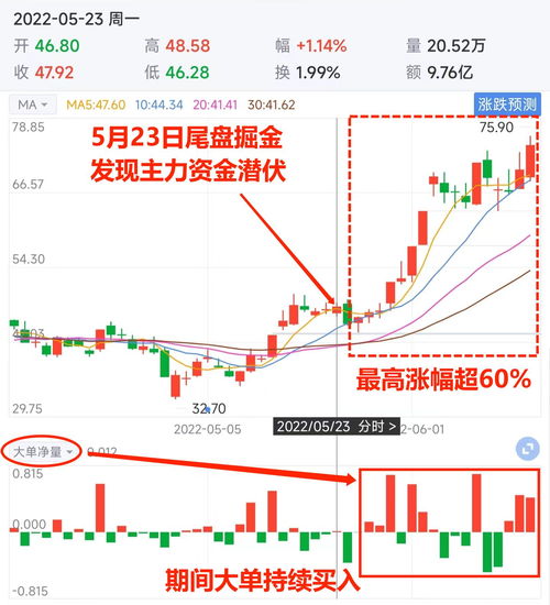 沪深股通|新风光11月23日获外资买入0.06%股份