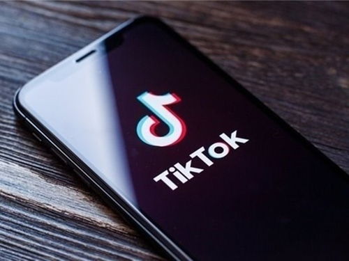 tiktok国际版ios直接下载_为什么要投TikTok