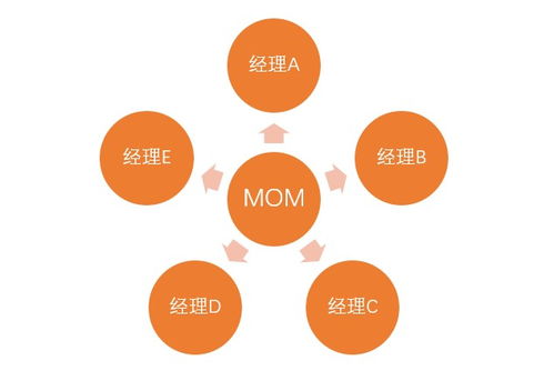 mom基金有那些，如何购买。