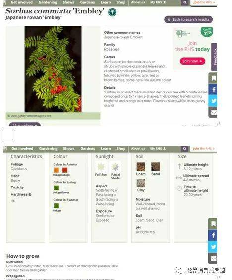 最全植物类查询专业网站丨植物类研究必备,值得收藏