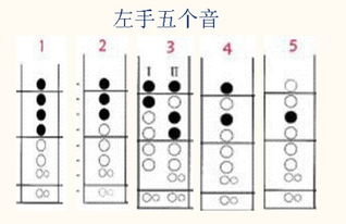 八孔竖笛的八孔竖笛入门