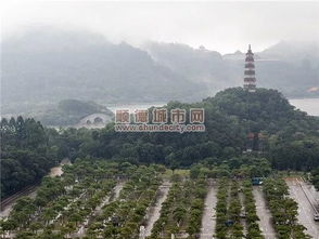 佛山免费旅游景点推荐值得去的免费景点(顺峰山公园哪个停车场免费)