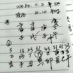 请大师帮我算一下我的一生命运如何,感情财运我是1984年阳历11月2日上 