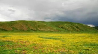 比若尔盖迷离,比红原辽阔 四川最迷人的草原,其实是它 