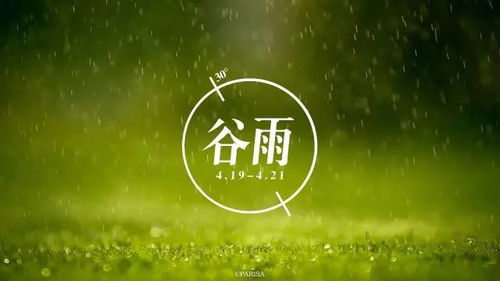 明日谷雨,这些开运习俗你都知道了吗 