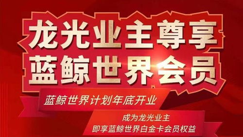 7个开业 2021南宁商业进入集中爆发期