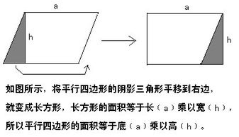 (三)正方形:一組鄰邊相等且有一個角是直角的平行四邊形是正方形.