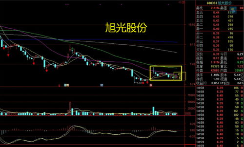 600353旭光股份多少钱一股