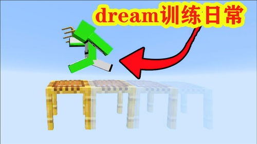 我的世界 揭秘dream是如何训练的 大神dream的训练日常 