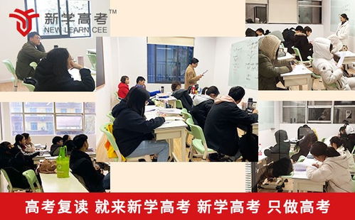 正规复读学校？高三复读有哪些学校