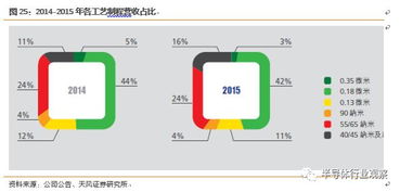 关于中芯国际的发展现状和未来的分析 