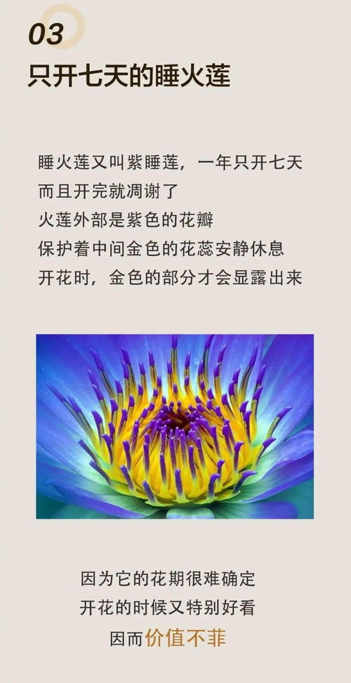 关于花,还有这些冷知识