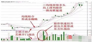 · 熊市最后一跌中如何买入？熊市最后一跌中掌握的买入技巧