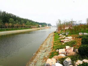 明年,三里屯将变成这样 北京版 西溪湿地 登场 朝阳群众今年干了哪些大事 