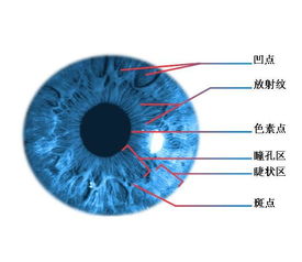 国内银行哪家用了虹膜识别技术？用的哪家公司的技术呢？